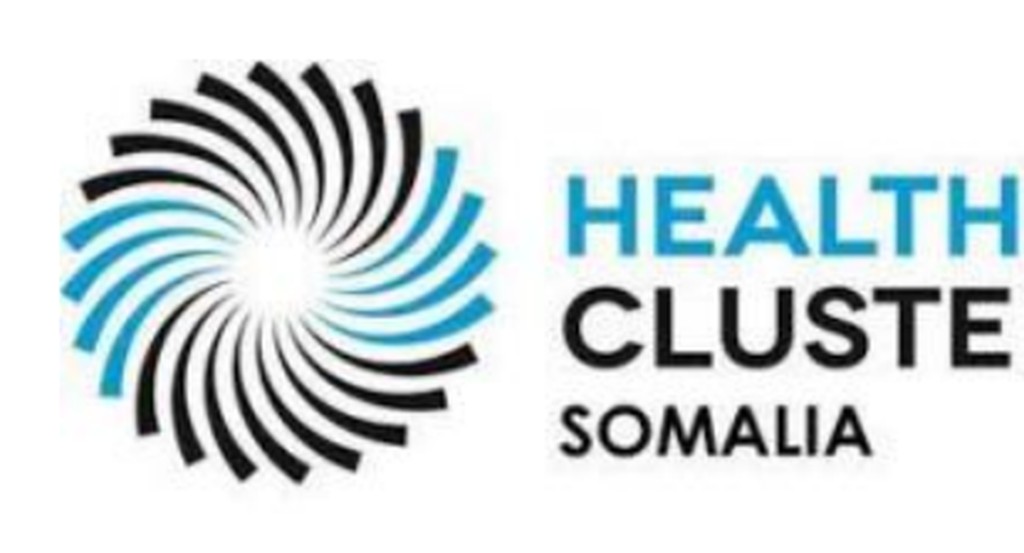 Health Cluster Somalia
